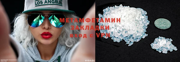 индика Аркадак
