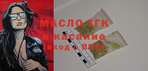 хмурый Арсеньев