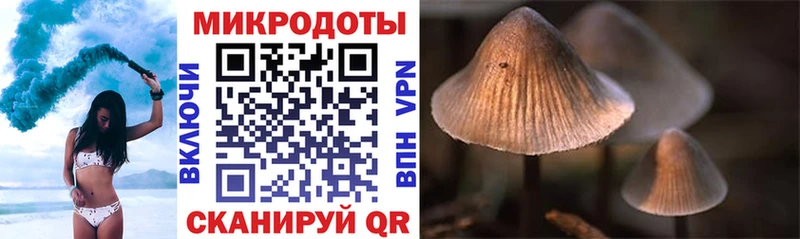 Галлюциногенные грибы MAGIC MUSHROOMS хочу Партизанск